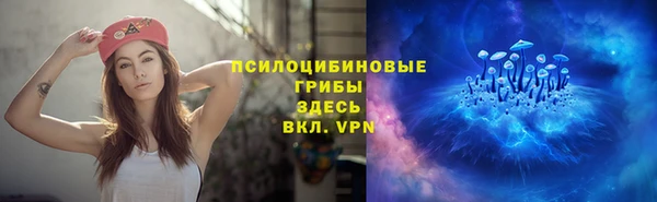 мяу мяу мука Покров