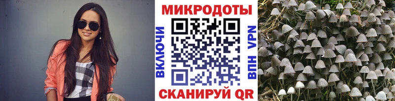наркотики  Белёв  Псилоцибиновые грибы мицелий 