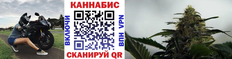 МАРИХУАНА план Белёв